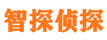 休宁市侦探调查公司